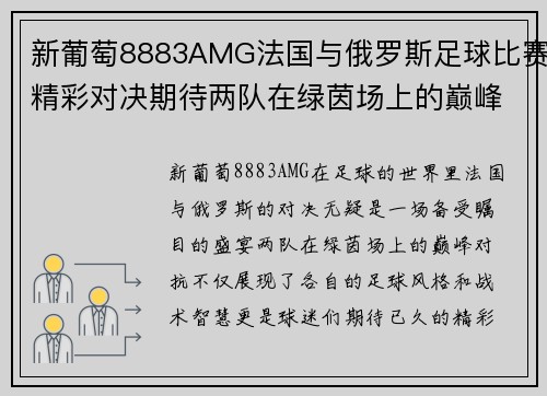 新葡萄8883AMG法国与俄罗斯足球比赛精彩对决期待两队在绿茵场上的巅峰对抗