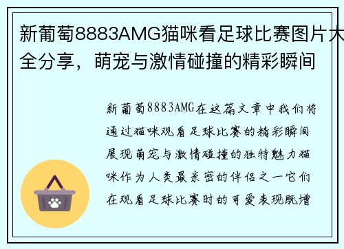 新葡萄8883AMG猫咪看足球比赛图片大全分享，萌宠与激情碰撞的精彩瞬间