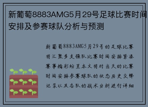 新葡萄8883AMG5月29号足球比赛时间安排及参赛球队分析与预测