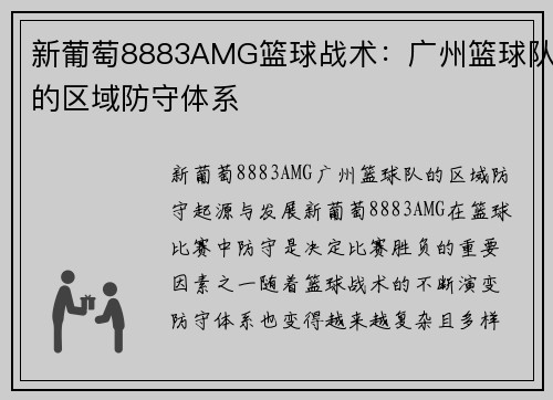 新葡萄8883AMG篮球战术：广州篮球队的区域防守体系