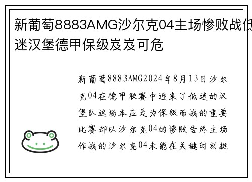 新葡萄8883AMG沙尔克04主场惨败战低迷汉堡德甲保级岌岌可危